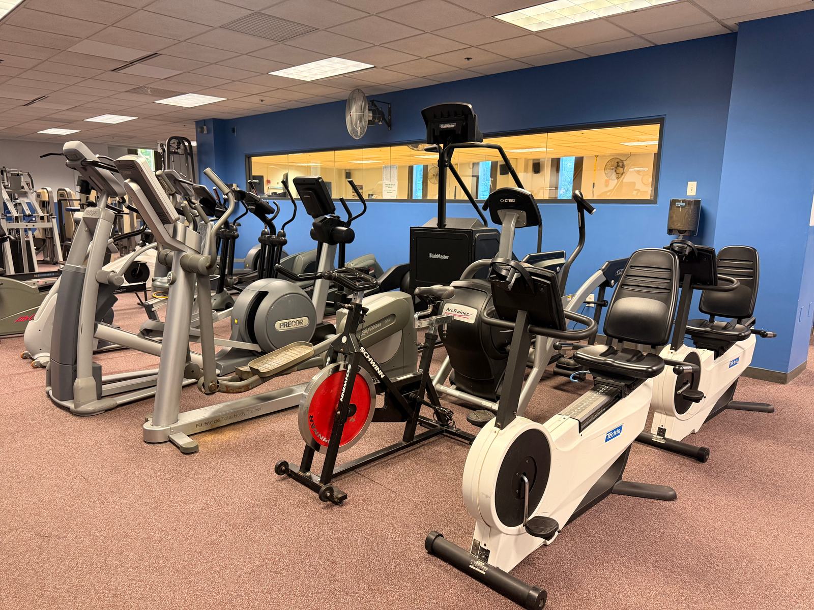 Upright bikes, recumbent bikes, and ellipticals.